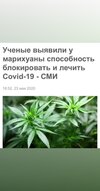LrqsTe7yEkY.jpg