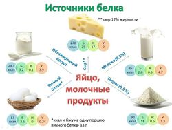 250px-Protein_source_milk_eggs.jpg 250px-Protein_source_milk_eggs.jpg