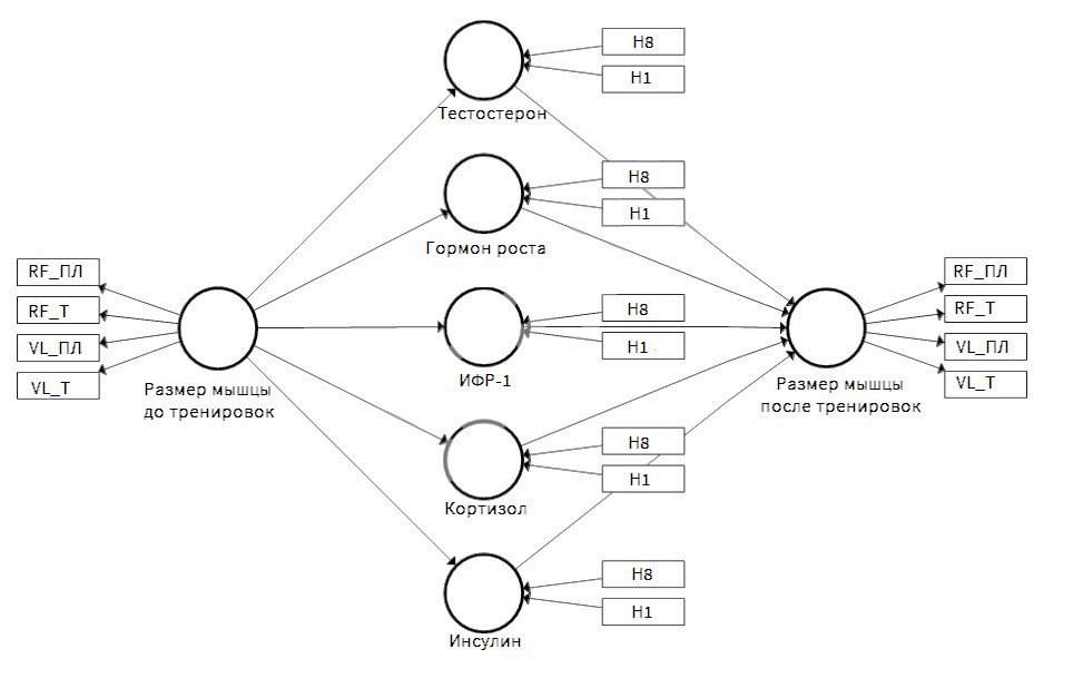 рисунок гормоны.jpg рисунок гормоны.jpg