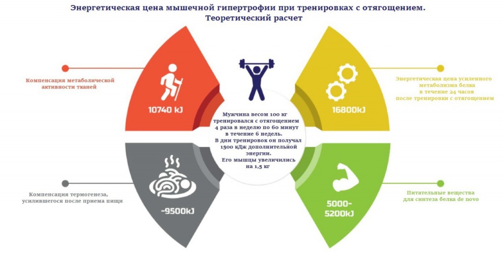 к 346.jpeg к 346.jpeg